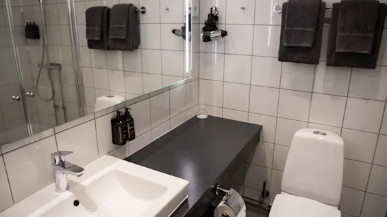 Handfat med kran står bredvid en grå bänkskiva med två flaskor. Intill finns en vit toalett med en monterad toalettrullehållare. Handdukar hänger på en kaklad vägg.
