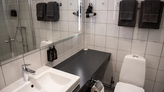 Sink with faucet sits next to a gray countertop holding two bottles. Adjacent is a white toilet with a mounted toilet paper holder. Towels hang on a tiled wall.