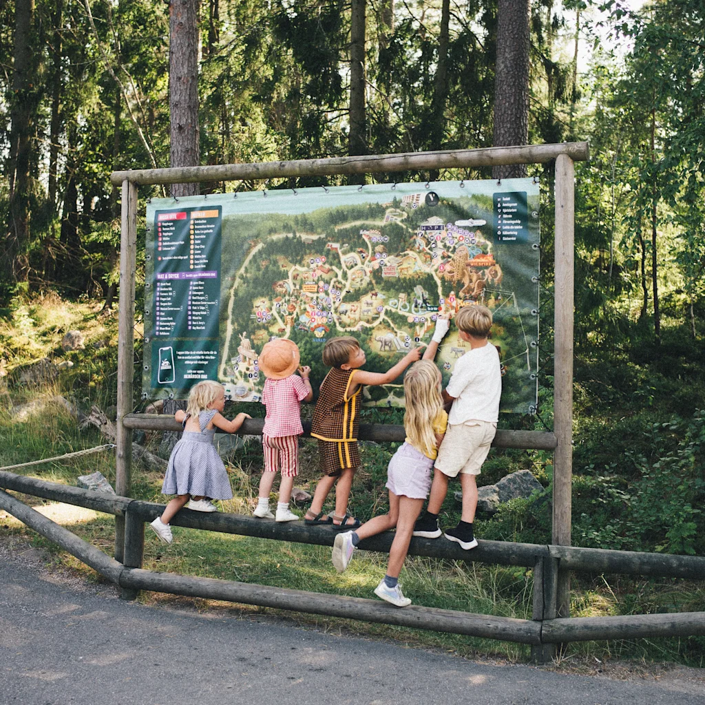 I can't generate alt text without knowing what the image contains! Could you please describe the image to me? Once I have that, I'll be happy to create some natural-sounding alt text for you, including 'Kolmården' and keeping it under 125 characters! 😊