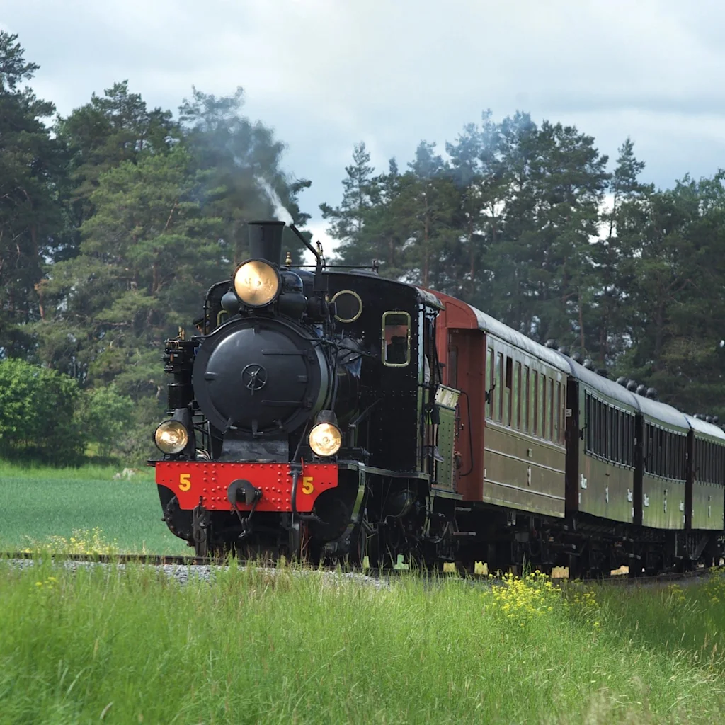 Ett klassiskt ånglok med nummer 5 på fronten drar passagerarvagnar genom ett naturskönt grönt landskap under en molnig himmel.