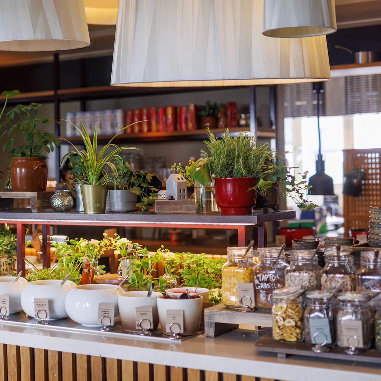 A buffet setup with various bowls, pots of plants, and hanging lamps in a restaurant.