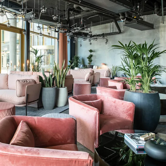 Lyxig lounge med rosa sammetssoffor och stolar arrangerade runt låga bord. Stora krukväxter ger grönska, i en modern interiör med fönster från golv till tak och dekorativt tak.