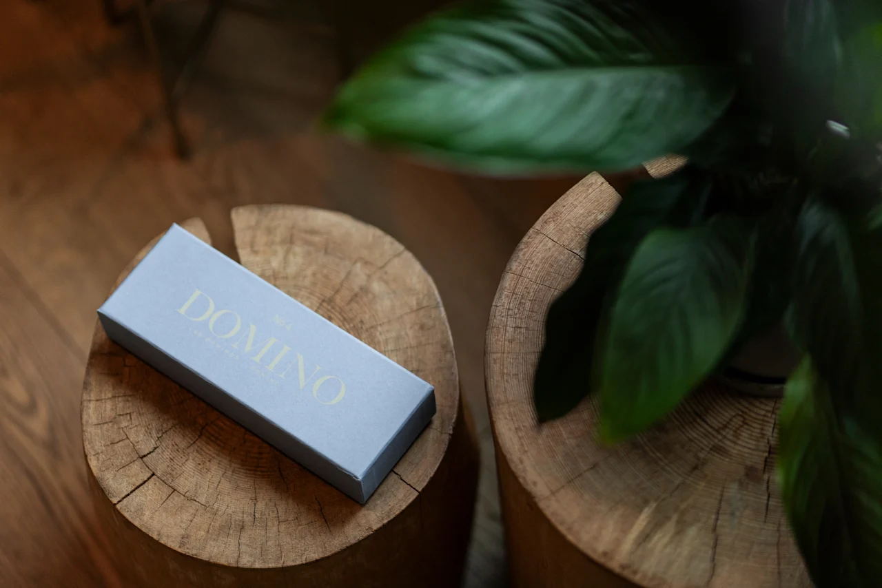 A light blue box with the word DOMINO on it rests on a wooden surface next to a green plant.