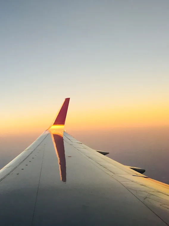 En flyvinge svæver gennem himlen under en smuk solnedgang, med varme orange og blå farver der maler horisonten.