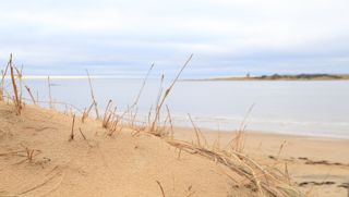 iStock-tylosand-halmstad.beach