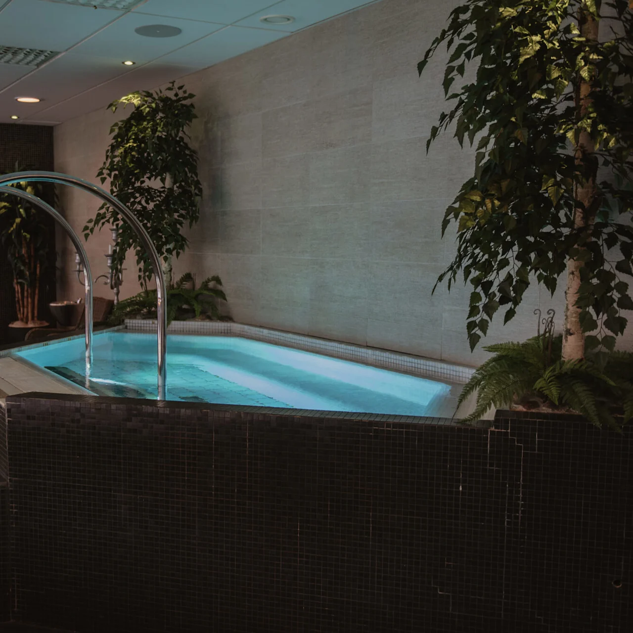 Inomhus bubbelpool med bubblande vatten och metallräcken, omgiven av rottingstolar och krukväxter. Mjuk belysning och kaklade väggar skapar en avslappnad spa-miljö.