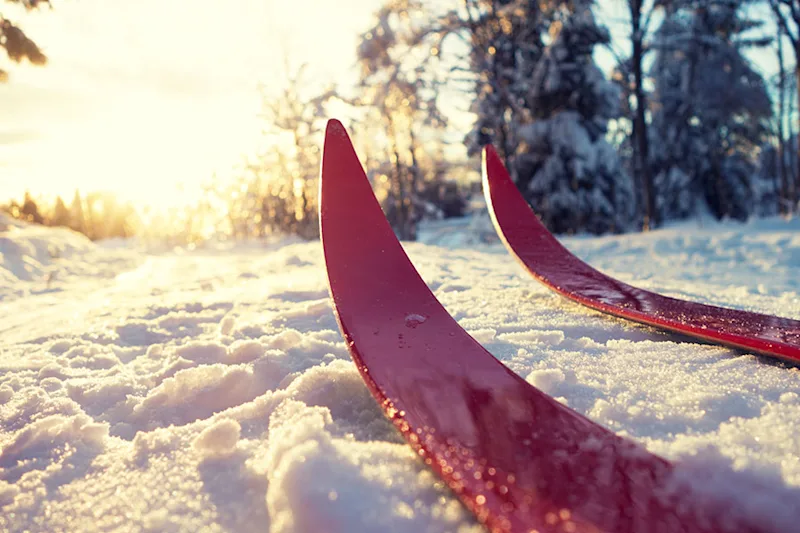 crosscountry-skiing-winter-sun.jpg