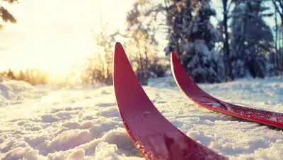 crosscountry-skiing-winter-sun.jpg