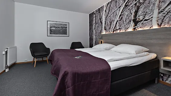 En dubbelsäng med mörk sängkläder står mot en skogstema vägg, omgiven av två svarta stolar. En inramad landskapsbild finns på en vit vägg.