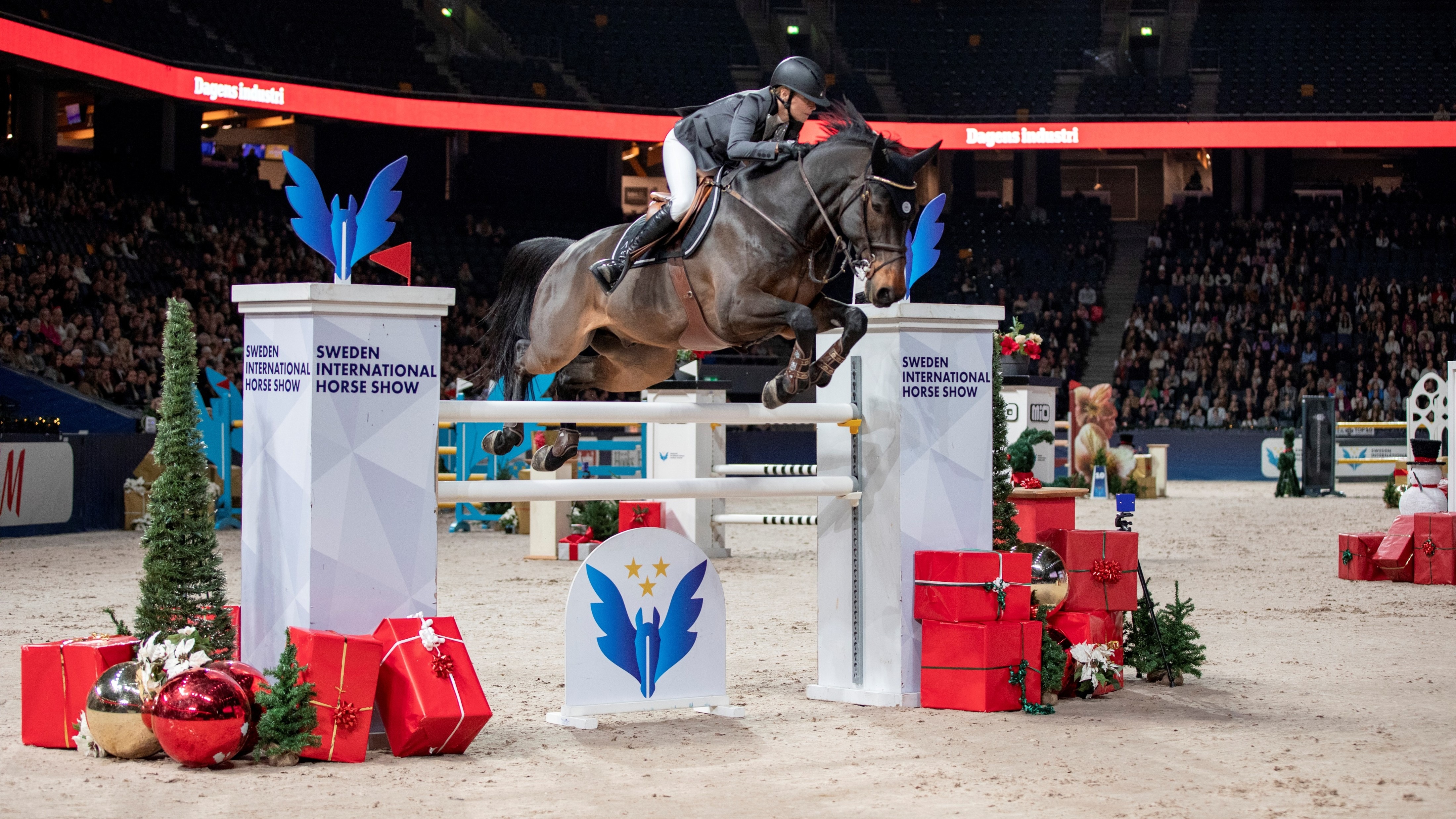 Sweden International Horse Show | Loungepaket