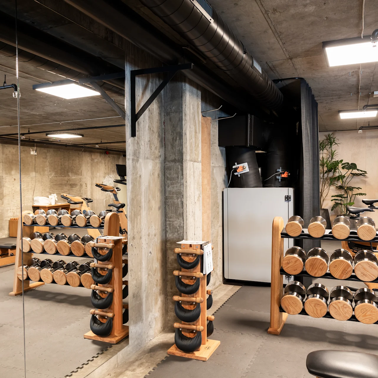 Håndvægte og kettlebells står på trærack i et moderne, rummeligt motionscenter med betonvægge og -loft. Motionscykler og reb er synlige i baggrunden.