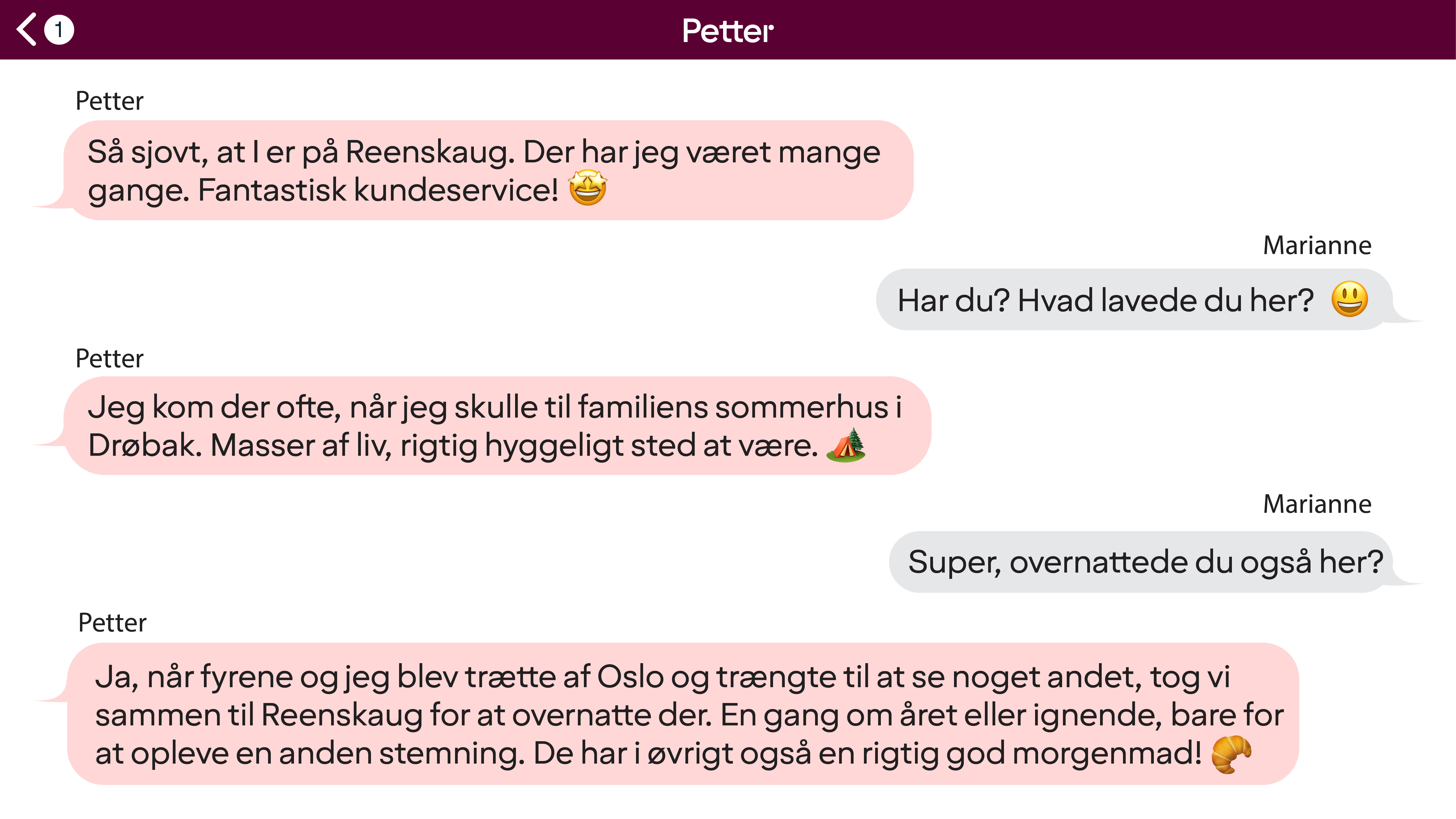 Reenskaug chat DK