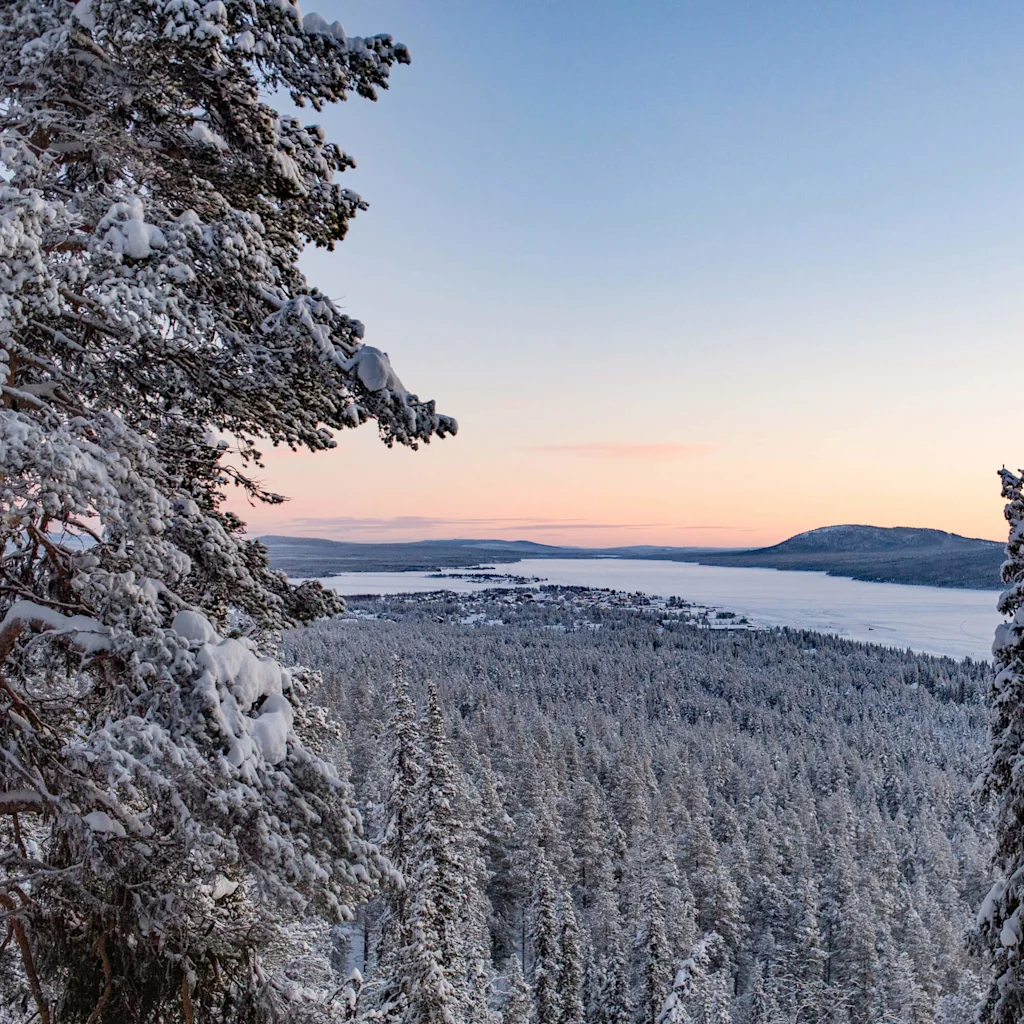 Snow-covered trees stand still, overlooking a vast frozen lake and distant mountains under a pastel sky. The forest stretches out in wintry silence.