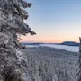 Sneklædte træer står stille og ser ud over en vidstrakt frossen sø og fjerne bjerge under en pastelfarvet himmel. Skoven strækker sig ud i vinterstilhed.