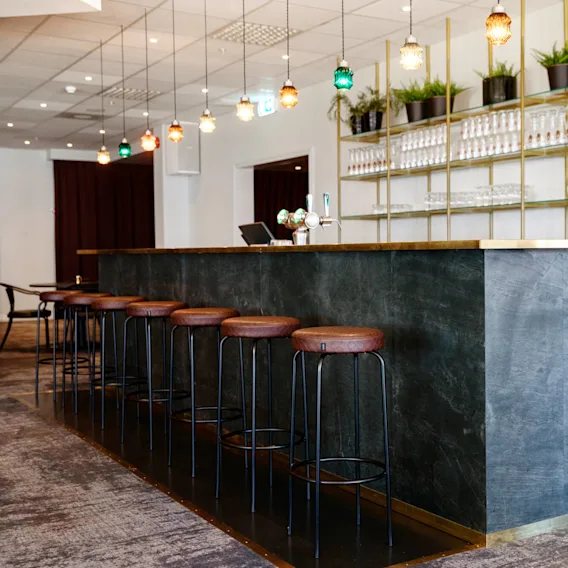 Bar counter lined with tall stools, backed by shelves of glassware and plants, lit by colorful hanging lights. Modern interior with a patterned carpet floor.