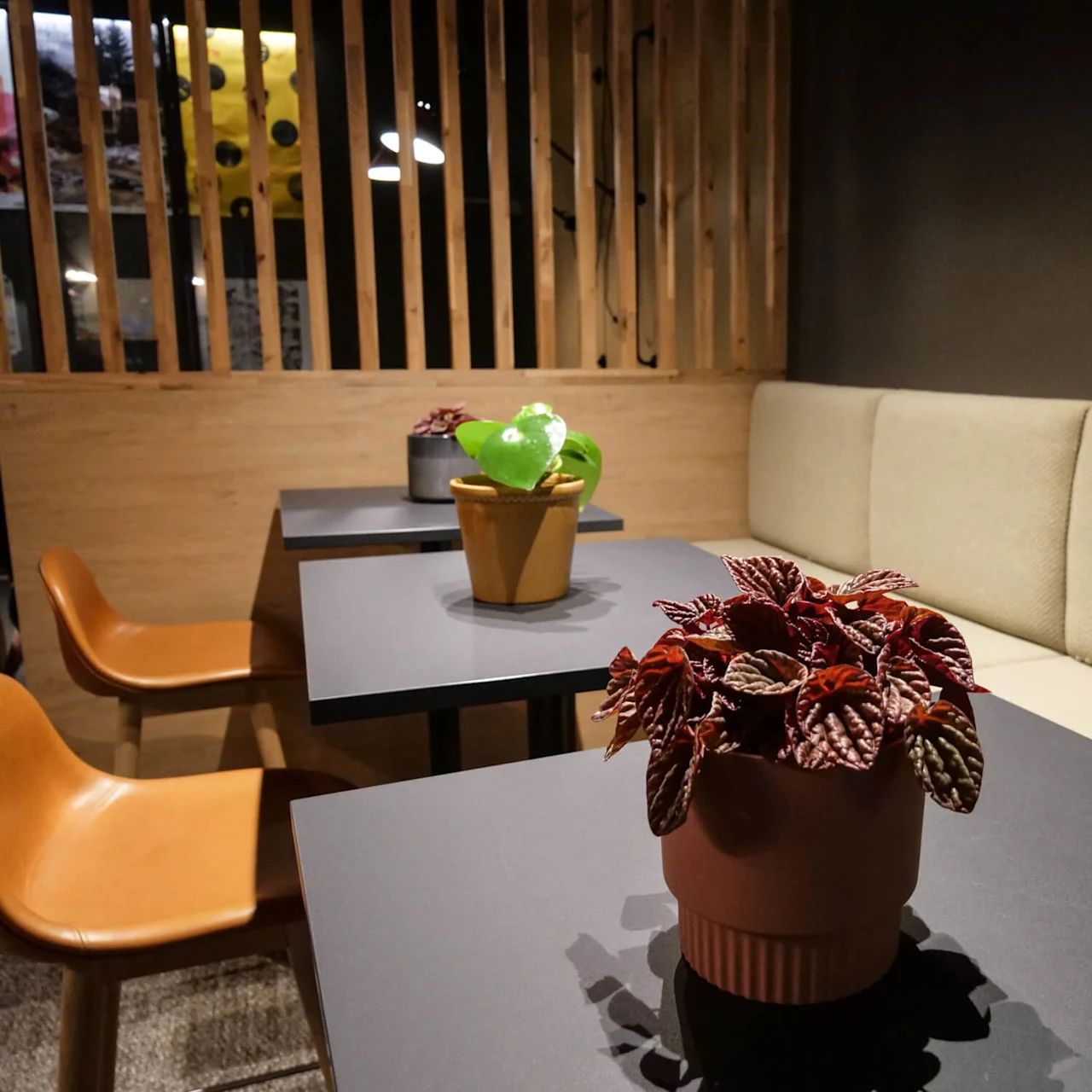 A potted plant sits on a dark table in a cozy café setting, surrounded by brown chairs and light-colored cushioned seating, with wooden panel dividers in the background.