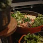 En deilig ovnsbakt rett med smeltet ost og friske grønne urter i en oransje gryte, klar til servering.