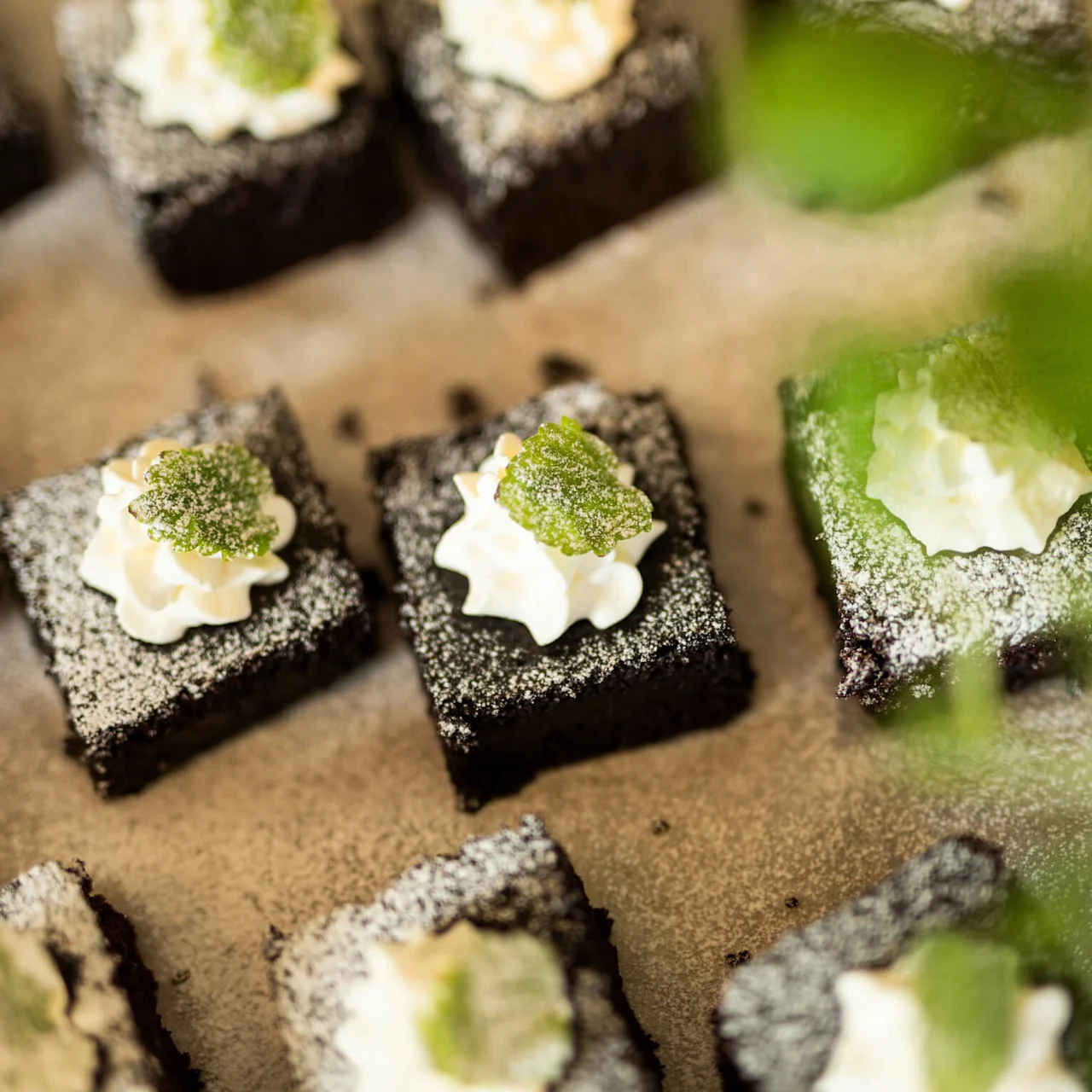 Chokladbrownies toppade med grädde och grönt gelégodis, pudrade med florsocker. De ligger på en bakplåt omgivna av suddig lövverk i förgrunden.
