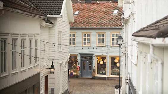 A charming cobblestone alleyway lined with traditional buildings, string lights, and a shop with glowing windows, labeled rips.