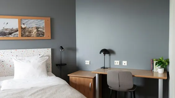 A cozy hotel room with a bed, a desk, and a chair. Artwork of birds hangs above the bed, and a plant adorns the desk.