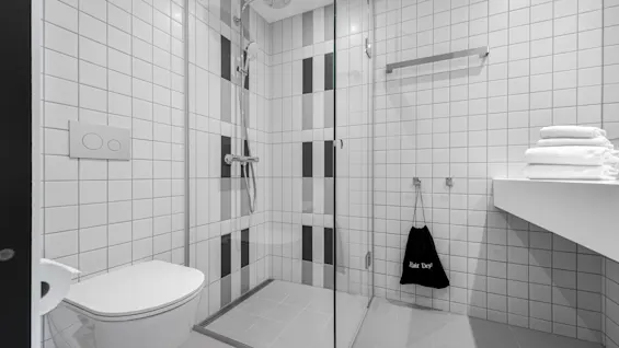 A contemporary bathroom with a shower, toilet, and sink, equipped with a Hair Dry bag for convenience.