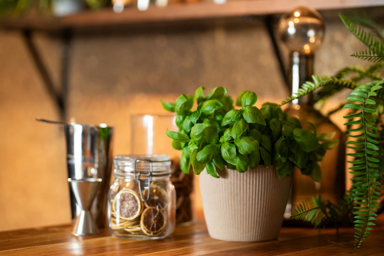 En färsk basilikaplanta, torkad citrus och barverktyg på en träbänk, vilket antyder en livlig kulinarisk eller mixologimiljö.