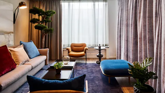 En koselig stue med en beige sofa utsmykket med fargerike puter, ved siden av en høy, bladrik plante. I bakgrunnen filtrerer tynne gardiner lyset fra et stort vindu.