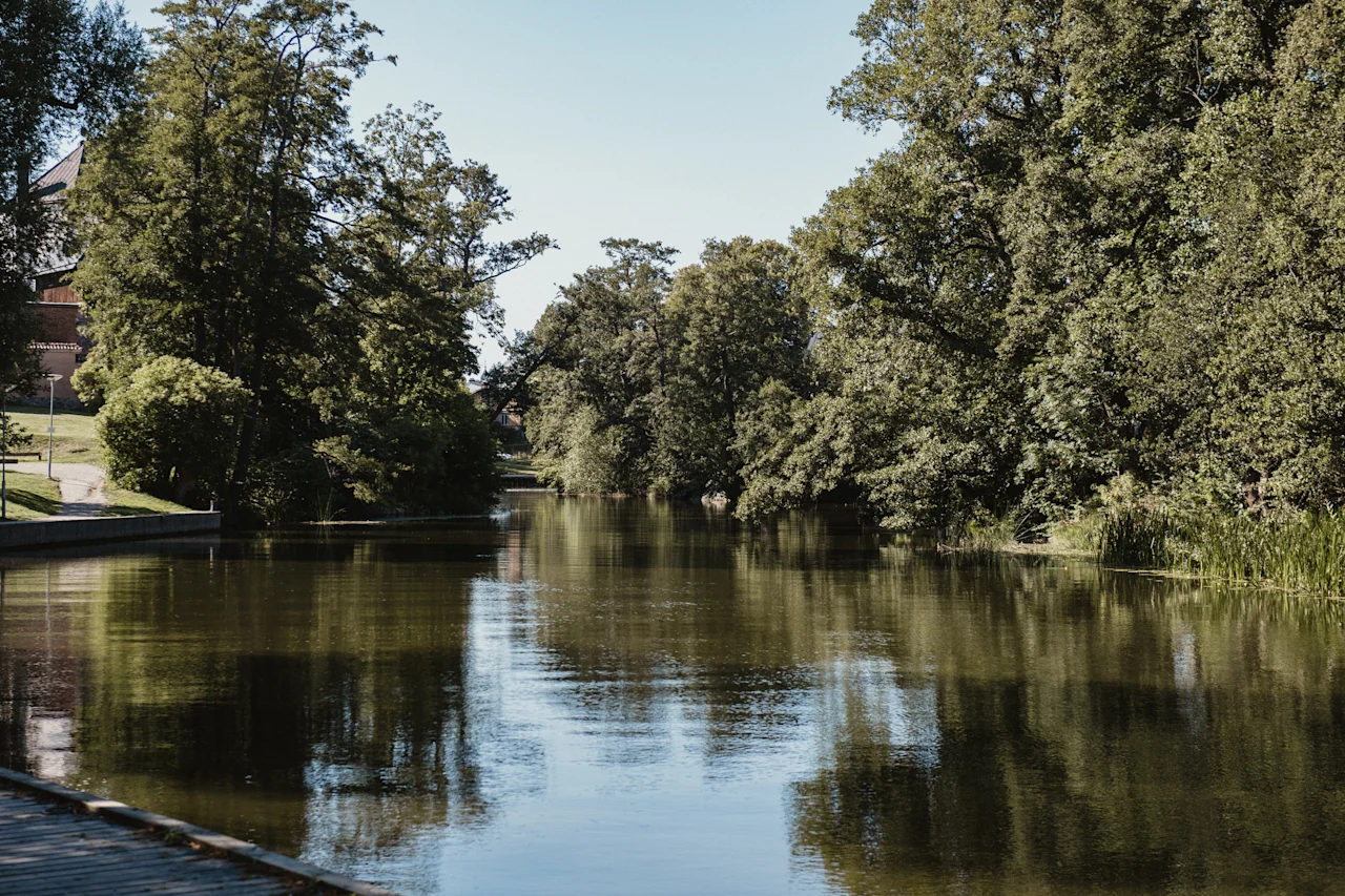 En lugn kanal eller flod som flyter genom ett grönskande landskap med täta träd längs dess stränder under en klar himmel.