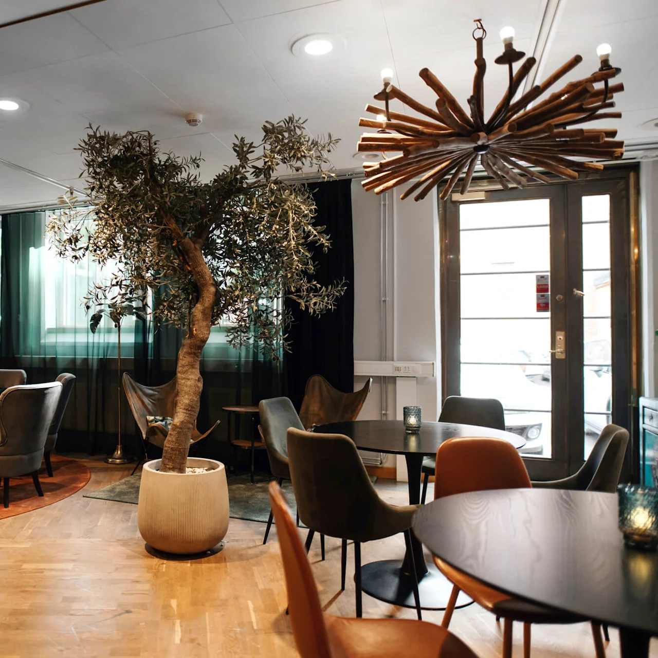 Modern lounge area with armchairs and a large olive tree in a pot. A chandelier hangs above, with a backdrop of bookshelves, curtains, and a large window.