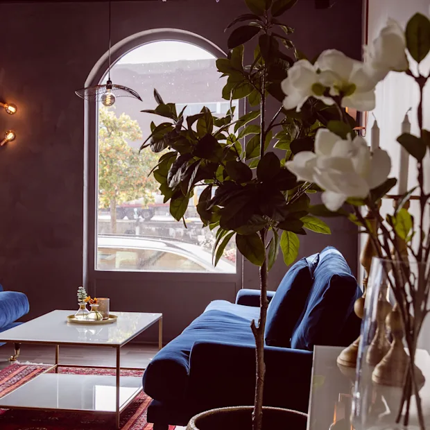 Mysig hotellounge med blå sammetssoffor, varm belysning, gröna växter och ett stort bågformat fönster.