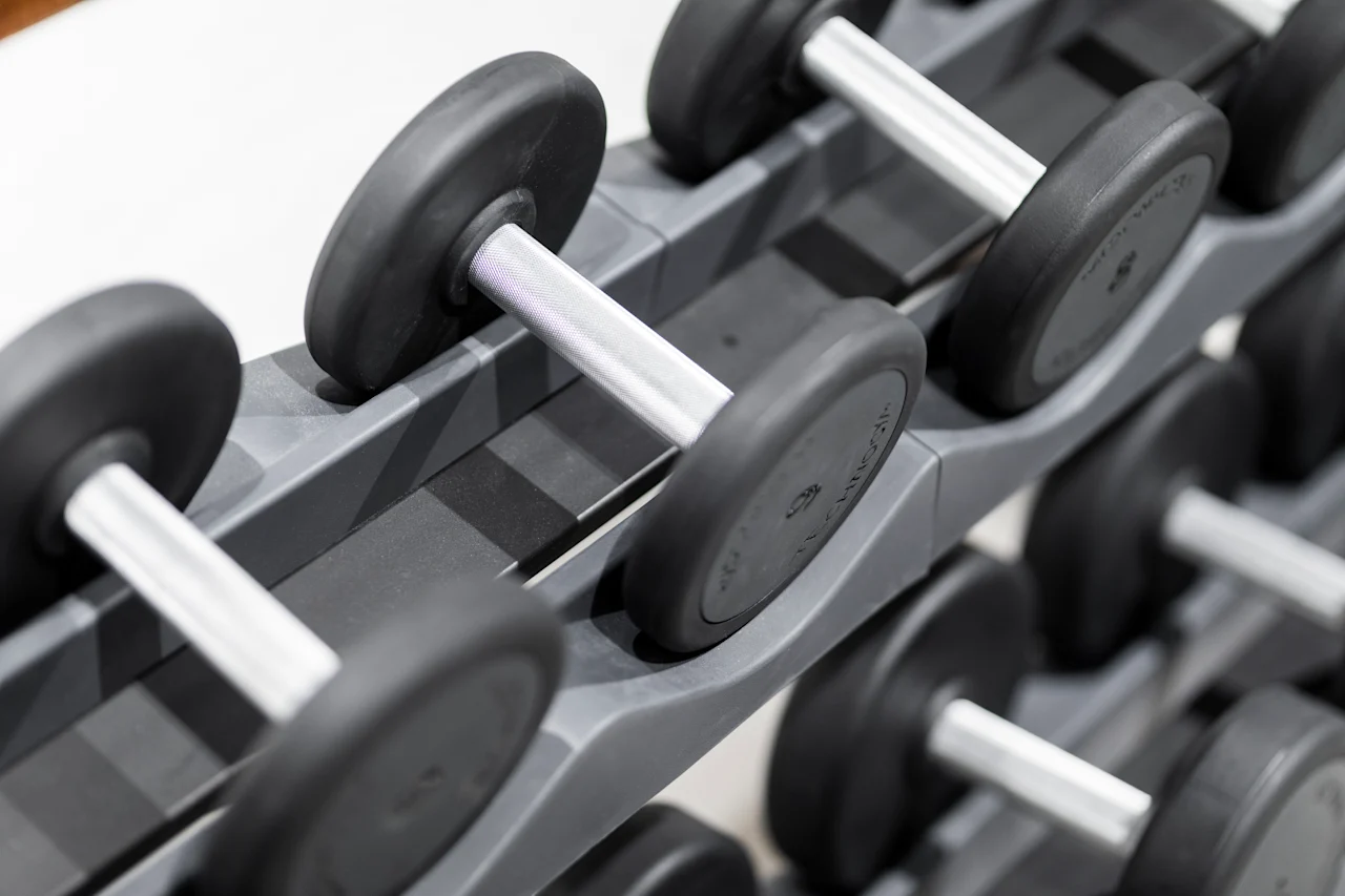Dumbbells neatly arranged on a rack, suggesting a well-equipped fitness area for strength training.