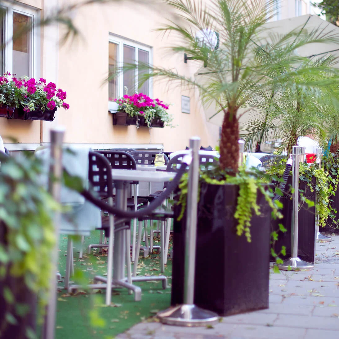 A sidewalk café with plants, two people reading, and outdoor seating. Urban background.