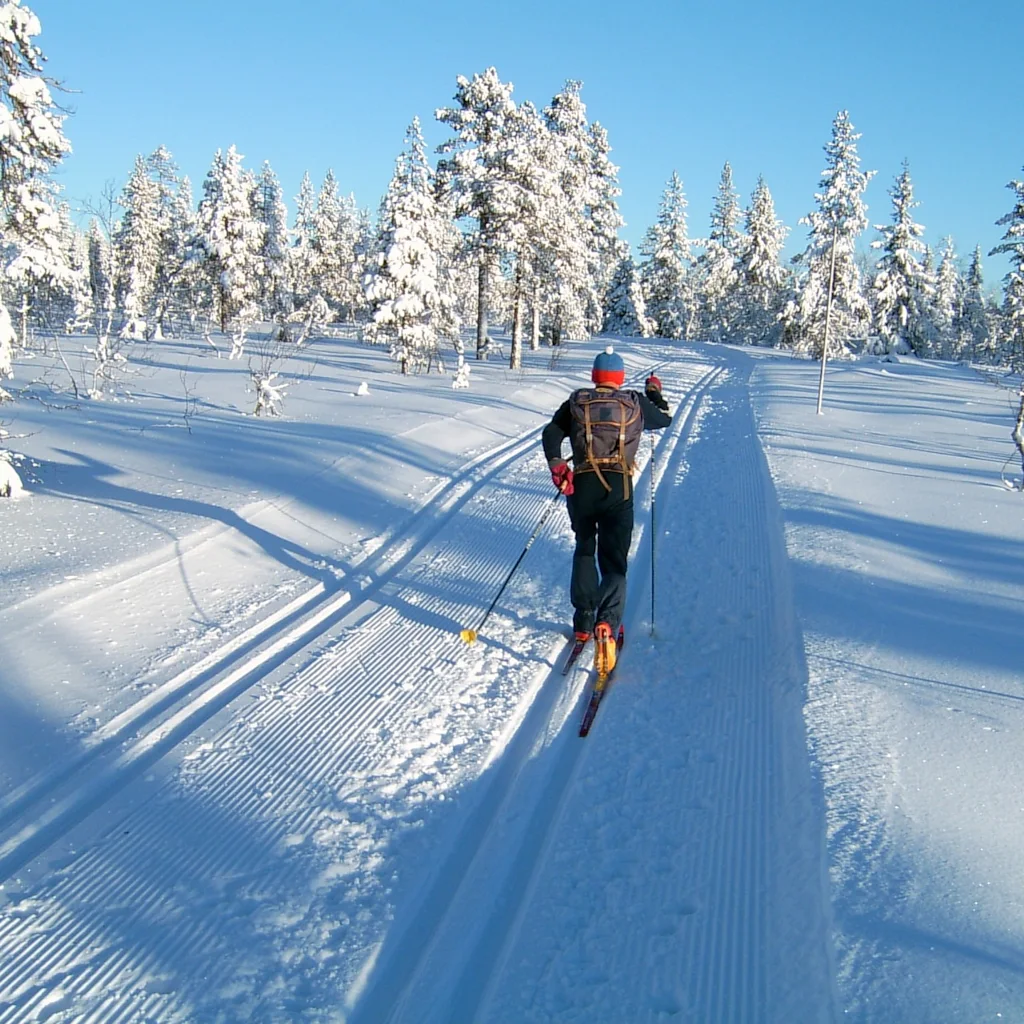 A person cross-country skiing on a groomed trail through a snow-covered forest under a clear sky. Hedmarksvidda near Hamar in Norway.