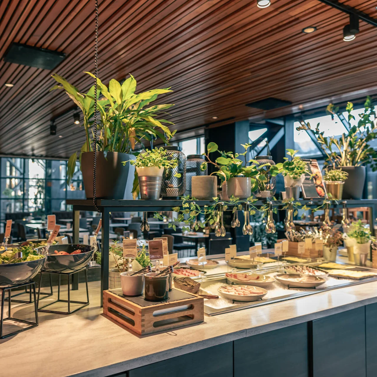 Buffet with bowls of salads and plates of food decorated with potted plants, located in a modern restaurant featuring wooden ceiling panels. Seen in the background are diners and tables.