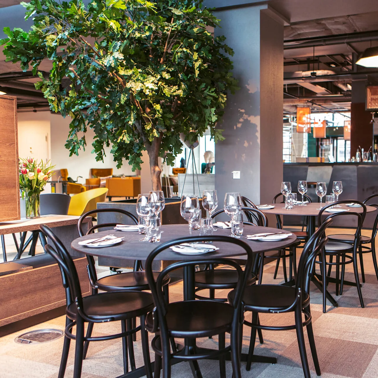 Matbord dukade med glas och servetter står i en modern restaurang. Svarta stolar omger borden och en stor växt ger grönska. Barområdet syns i bakgrunden.