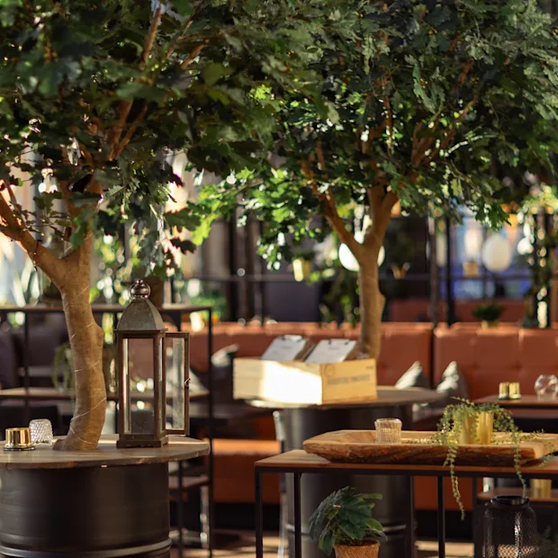Trees stand on circular tables, surrounded by lanterns and potted plants, in an outdoor seating area with brown sofas and cushions.