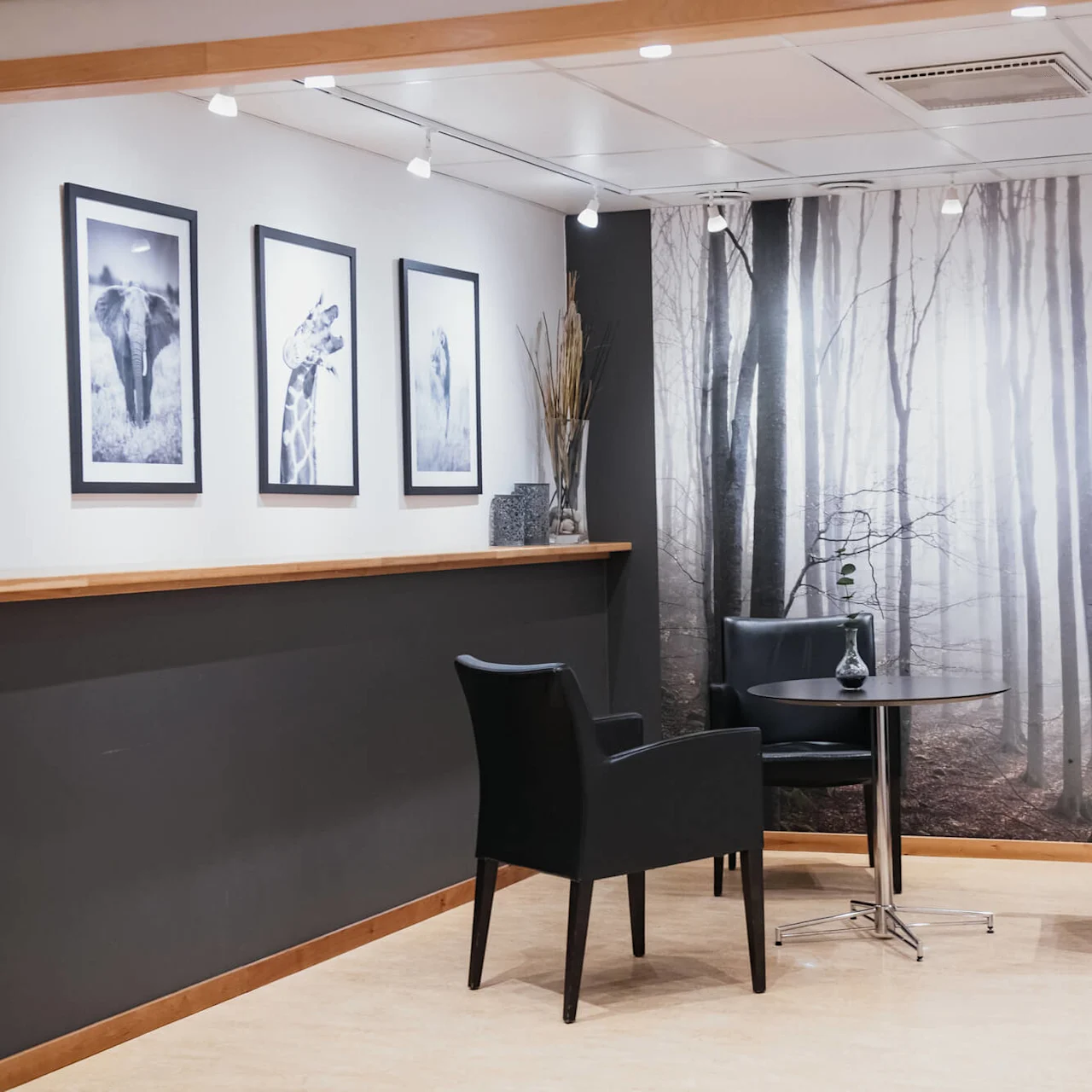 Two black chairs face a round table in a room with framed animal photos and forest-themed wallpaper.