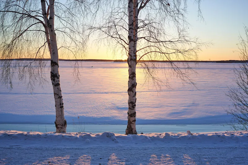 Luleå_winter