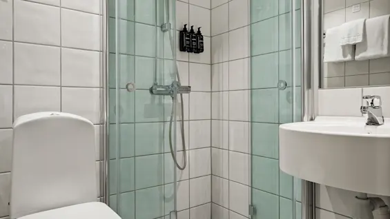 A clean and modern bathroom featuring a white toilet, a glass-enclosed shower, and a sink with a mirror.