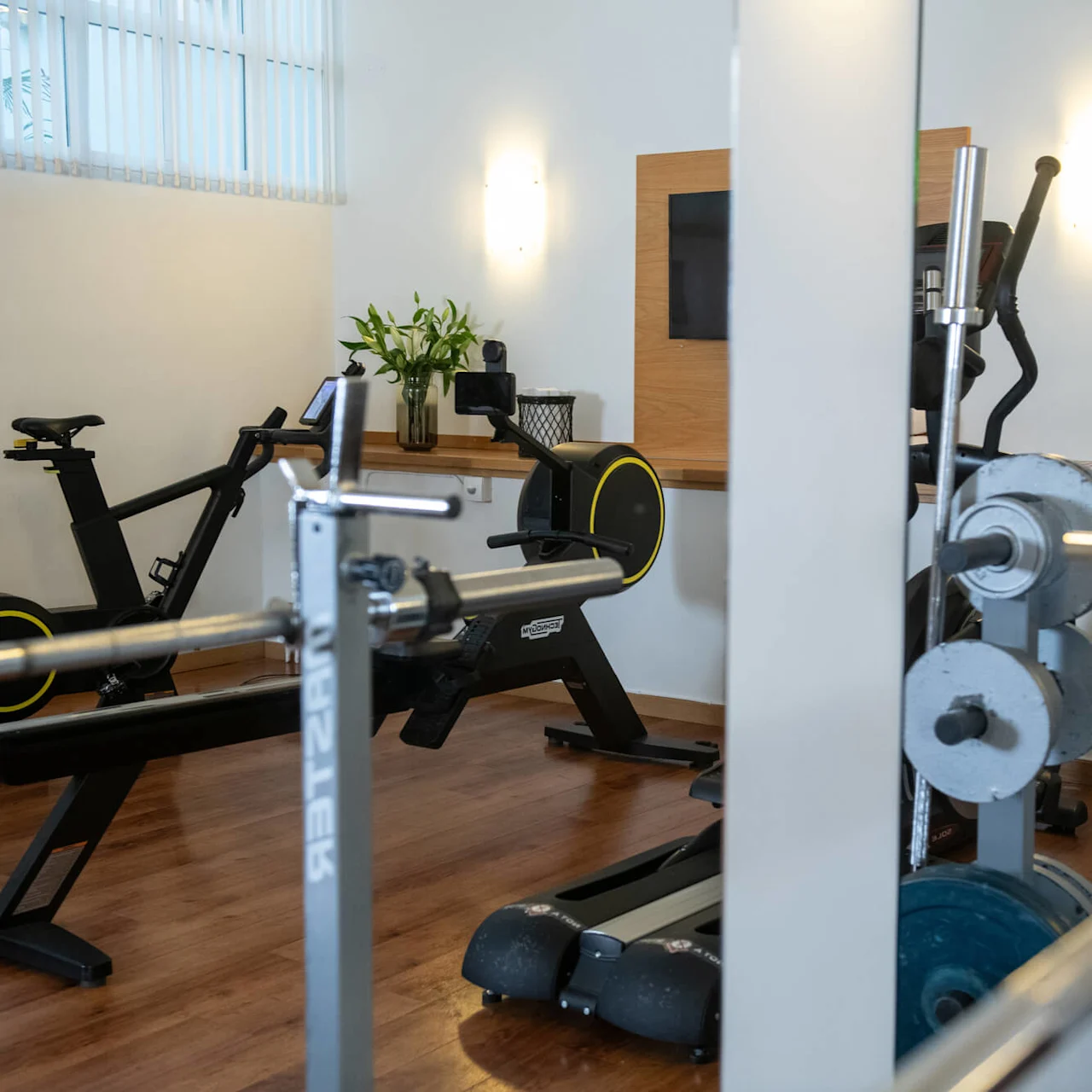 A gym with various exercise equipment including a rowing machine, exercise bike, and barbell, set on a wooden floor with soft lighting and potted plants for decor.