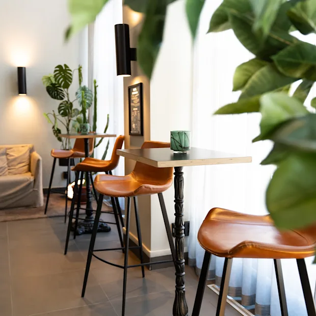 Kutsuva oleskelutila, jossa on korkeita pöytiä ruskeine nahkatuoleineen, viihtyisä sohva ja eloisia vihreitä kasveja.
