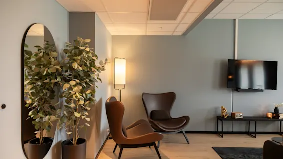 Et moderne og innbydende salongområde med komfortable brune lenestoler, en høy lampe, en stor plante og en veggmontert TV.