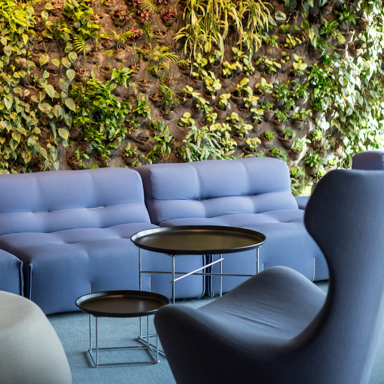 Blue cushioned seating arranged in a lounge area, facing round black tables. A lush vertical garden fills the background, creating a natural and modern ambiance.