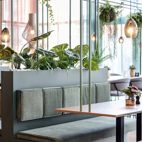 Grønne polstrede boder omgir trebord, dekorert med frodige planter og hengende pendellamper i en moderne, lys spisestue.