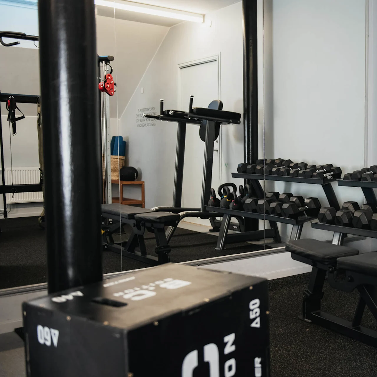 Weights and benches rest neatly in a gym setting. Dumbbells and kettlebells are organized on racks. Exercise machines and a mirror enhance the workout space, providing a clean, functional environment.
