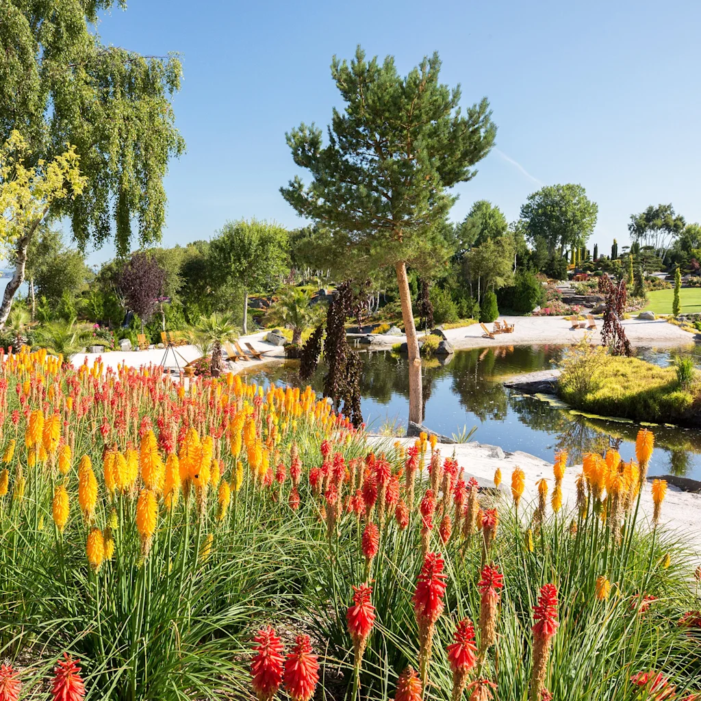 Eloisa puutarha punaisilla ja keltaisilla kukilla, tyyni lampi ja rehevää kasvillisuutta kirkkaan sinisen taivaan alla.