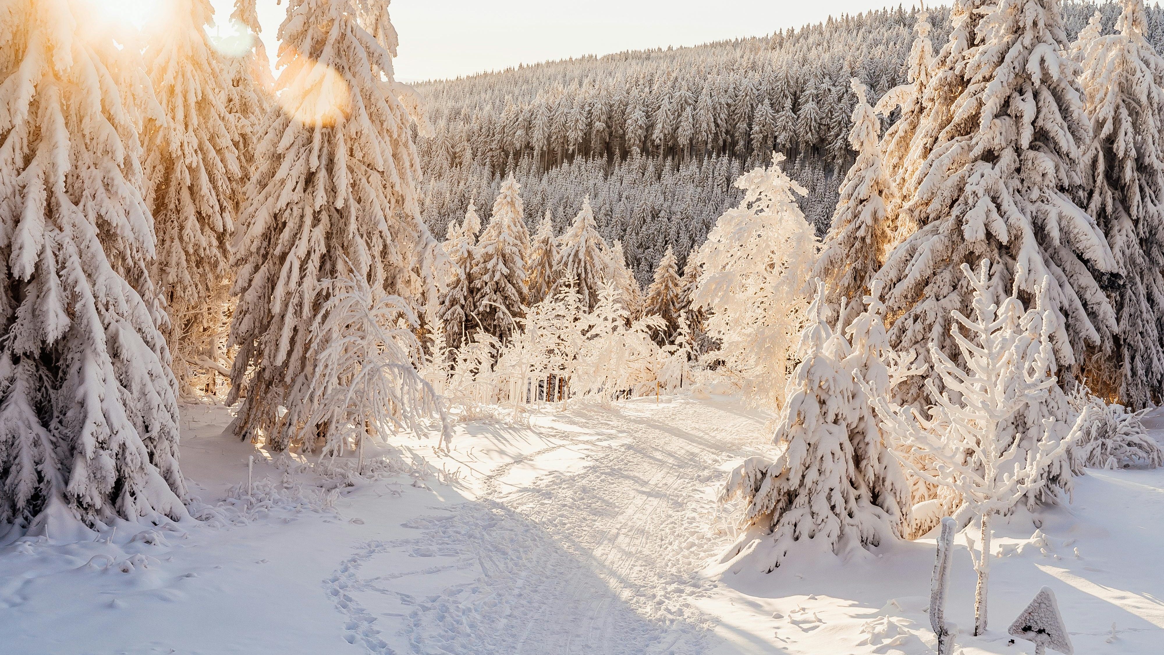 Umeå – Sunlight in snow at winter