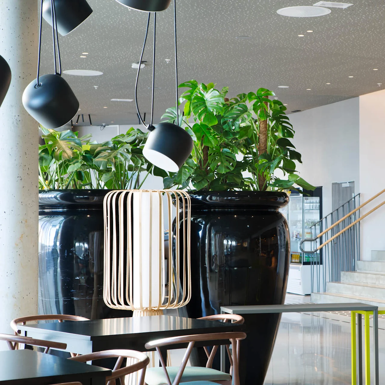 Large black planters hold lush green plants, situated next to modern furniture in a brightly lit room. Nearby, concrete stairs with wooden railings ascend, surrounded by sleek decor elements.