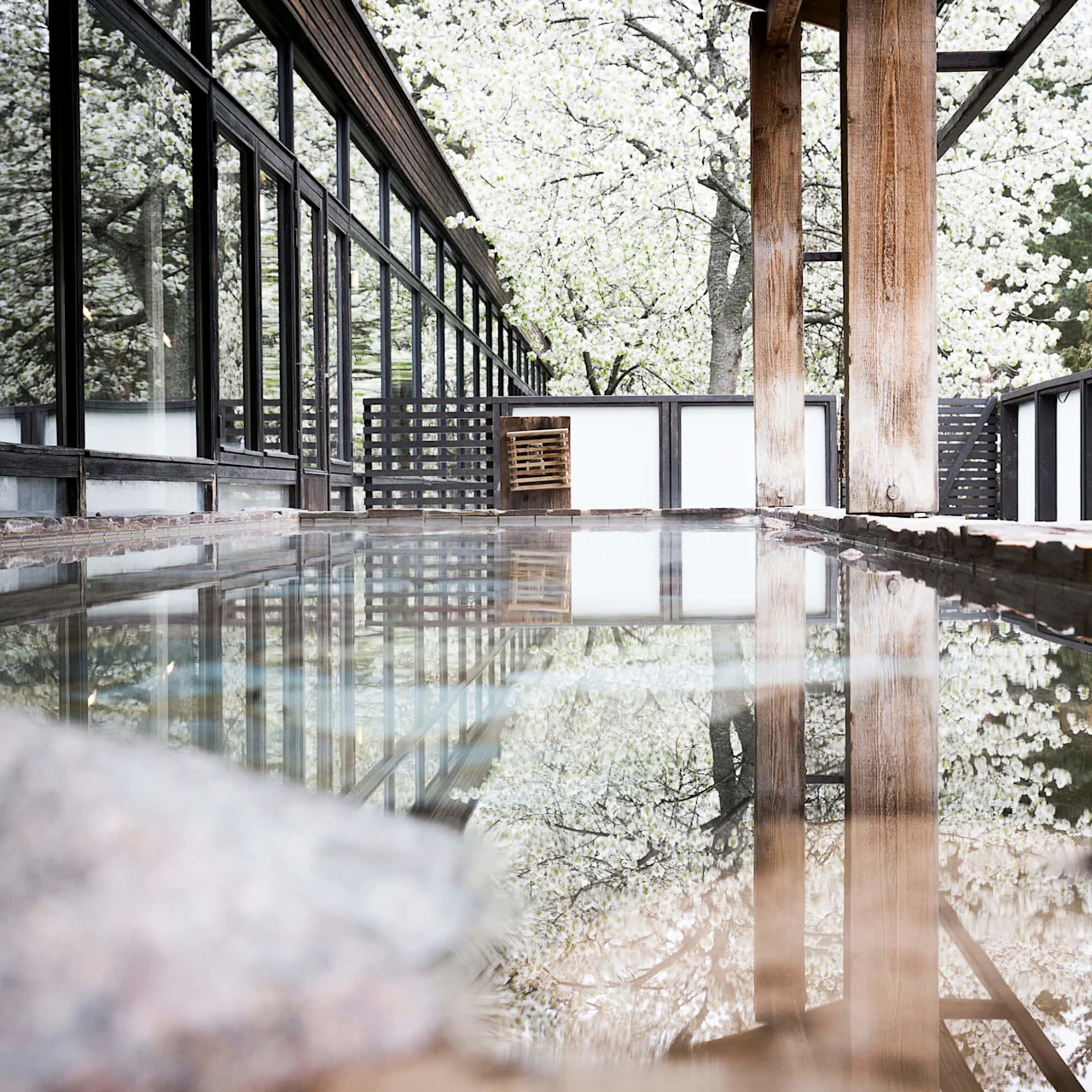 Trearkitektur med reflekterende gulv fanger blomstrende trær; fredelig, muligens japansk-stil bygning.