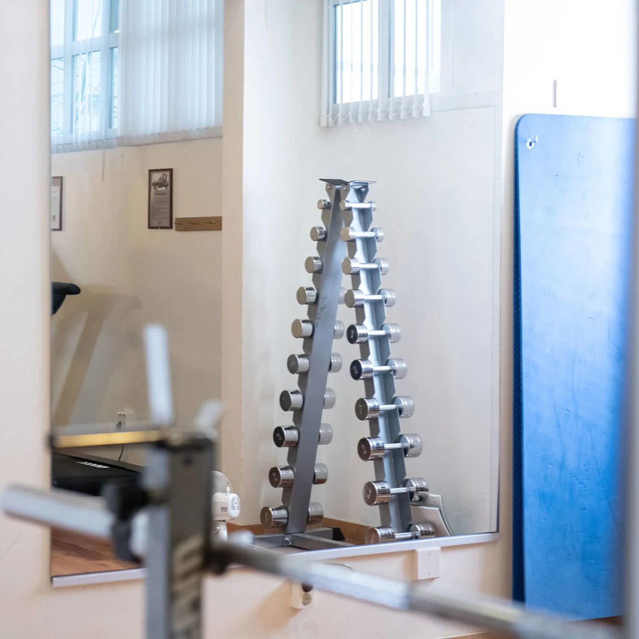 A rack of silver dumbbells stands in a bright gym room, reflected in a mirror. Nearby are a treadmill and a blue exercise mat, with daylight streaming through windows.